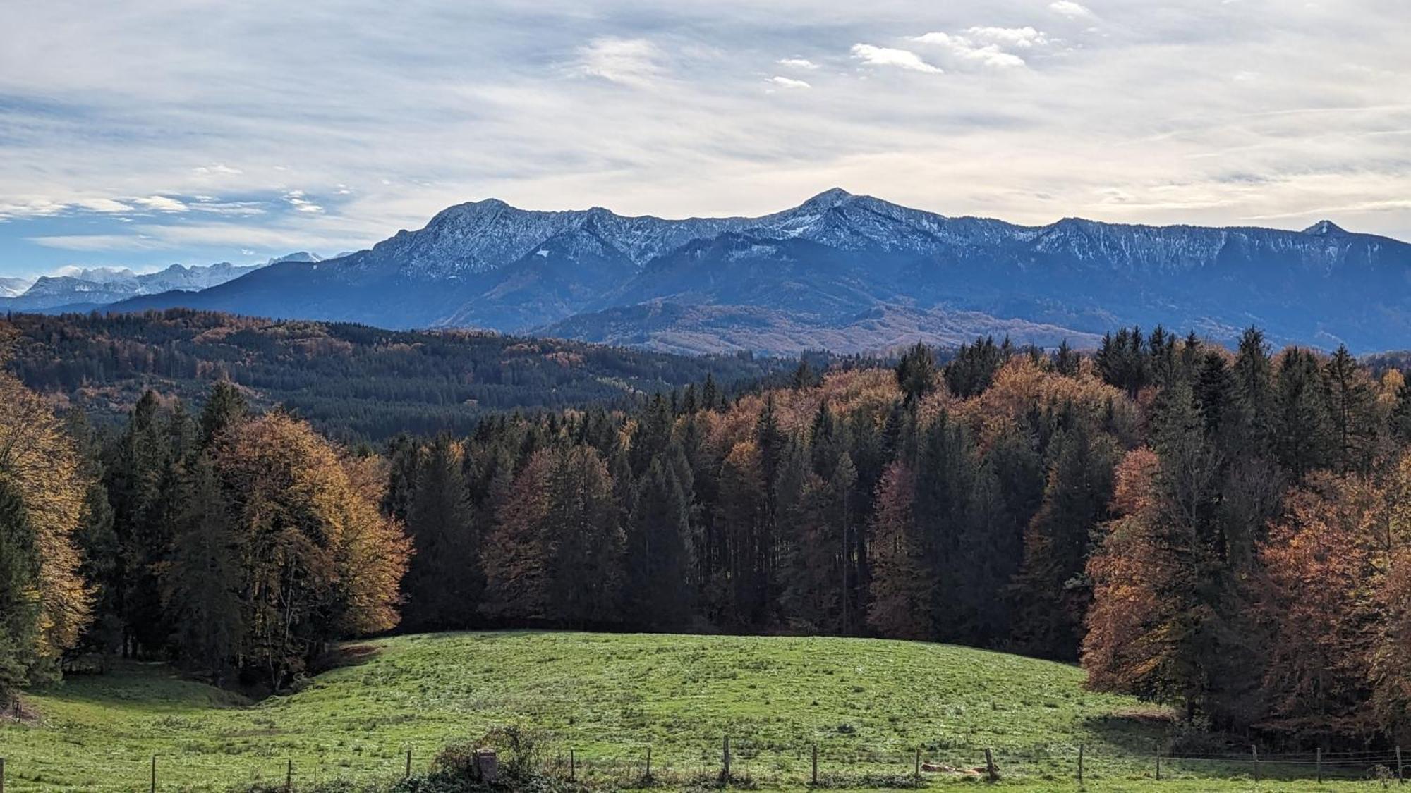 Liboria I Traumhafte Ferienwohnung In Aidling Am Riegsee Mit Atemberaubendem Panoramablick! Екстериор снимка