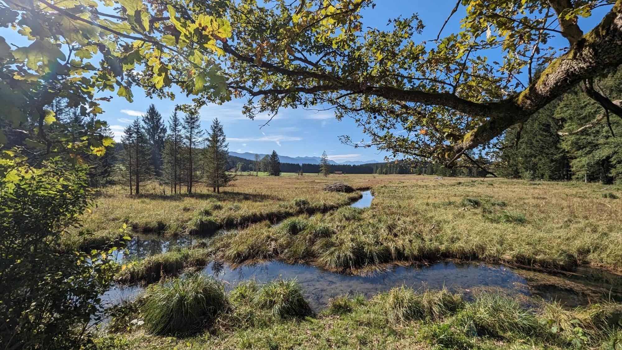 Liboria I Traumhafte Ferienwohnung In Aidling Am Riegsee Mit Atemberaubendem Panoramablick! Екстериор снимка